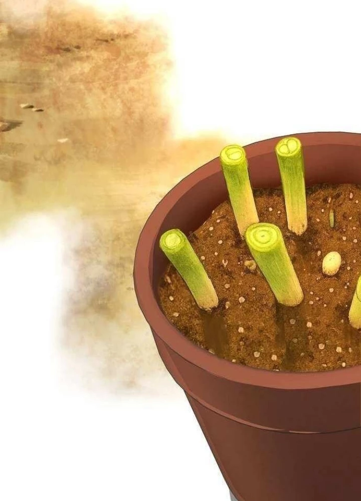 Không Gian Bí Mật Của Luật Sư Phi Thường Chapter 14 - Trang 25