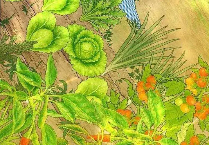 Không Gian Bí Mật Của Luật Sư Phi Thường Chapter 22 - Trang 16