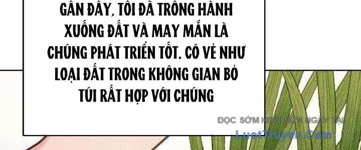 Không Gian Bí Mật Của Luật Sư Phi Thường Chapter 22 - Trang 19