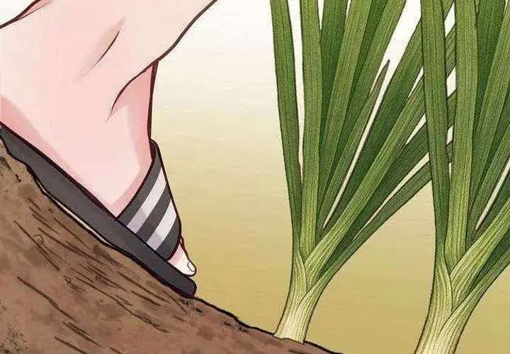 Không Gian Bí Mật Của Luật Sư Phi Thường Chapter 22 - Trang 20