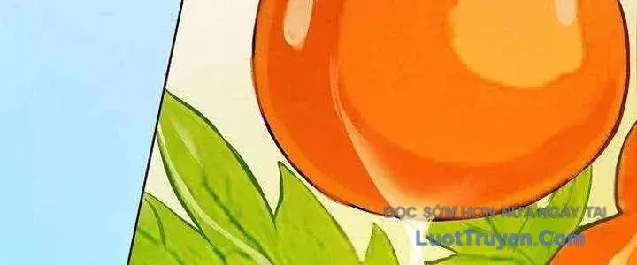 Không Gian Bí Mật Của Luật Sư Phi Thường Chapter 22 - Trang 9