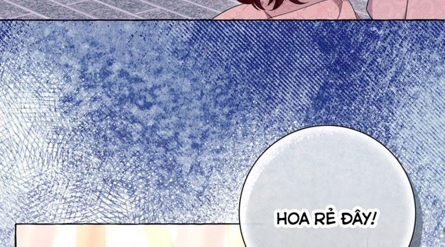Không Phải Câu Chuyện Chuyển Sinh Thông Thường Chapter 36 - Trang 15