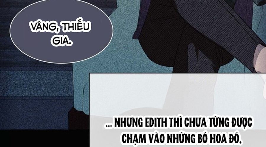 Không Phải Câu Chuyện Chuyển Sinh Thông Thường Chapter 36 - Trang 47