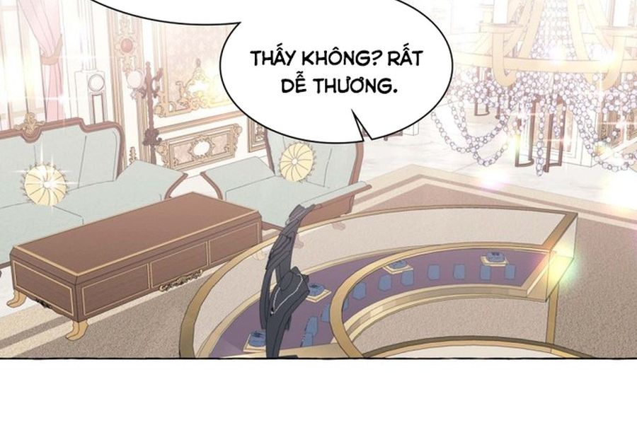 Không Phải Câu Chuyện Chuyển Sinh Thông Thường Chapter 42 - Trang 41