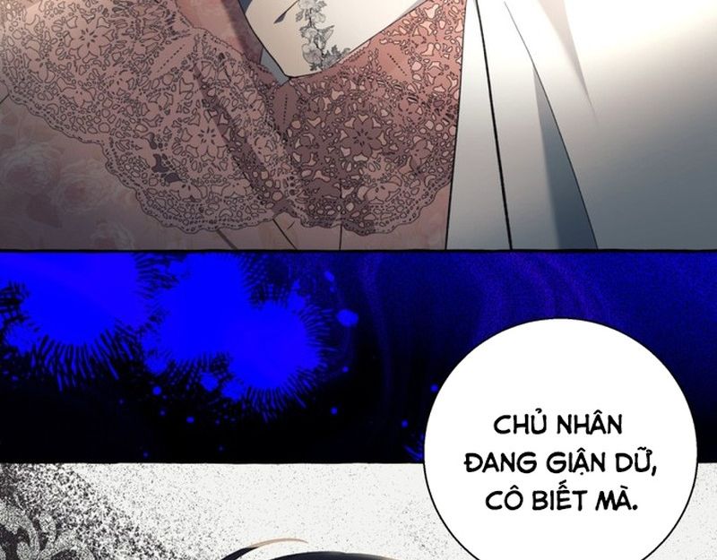 Không Phải Câu Chuyện Chuyển Sinh Thông Thường Chapter 58 - Trang 23