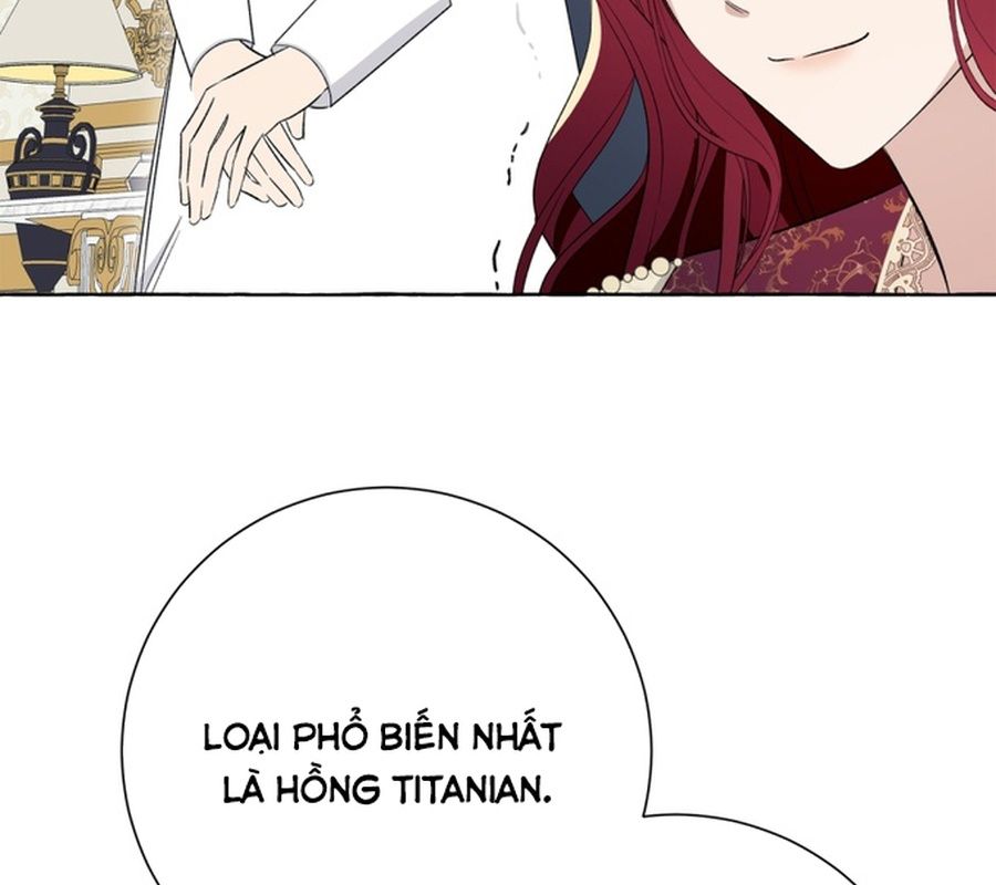 Không Phải Câu Chuyện Chuyển Sinh Thông Thường Chapter 9 - Trang 35