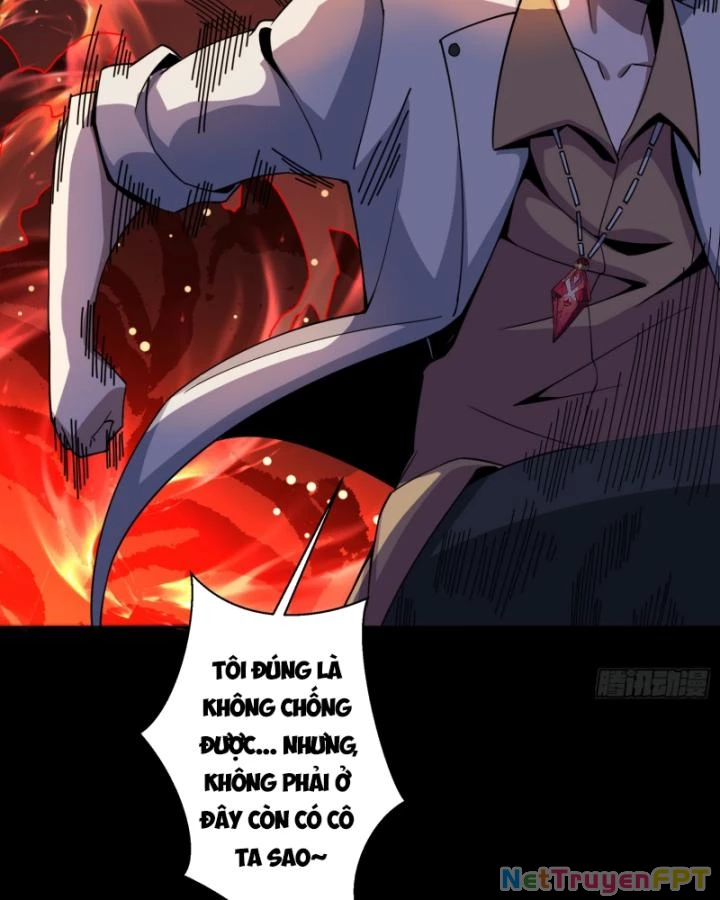 Không Theo Lối Mòn, Ta Quyết Ngược Đường Trở Thành Vô Địch Chapter 13 - Trang 12