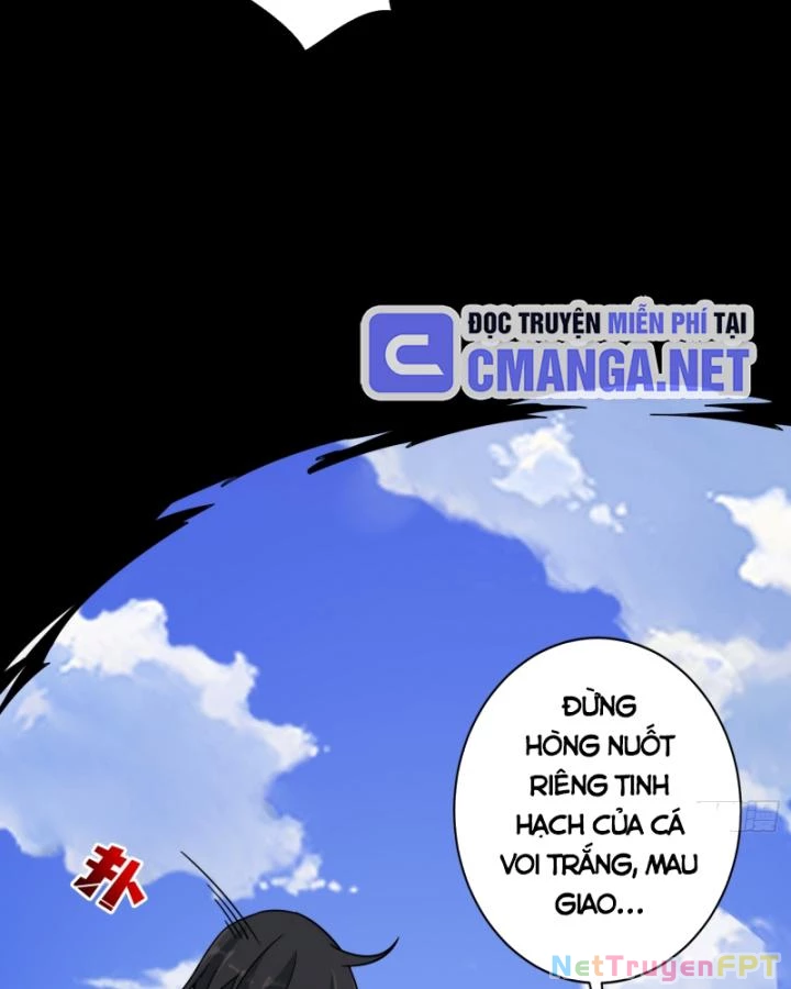 Không Theo Lối Mòn, Ta Quyết Ngược Đường Trở Thành Vô Địch Chapter 13 - Trang 13