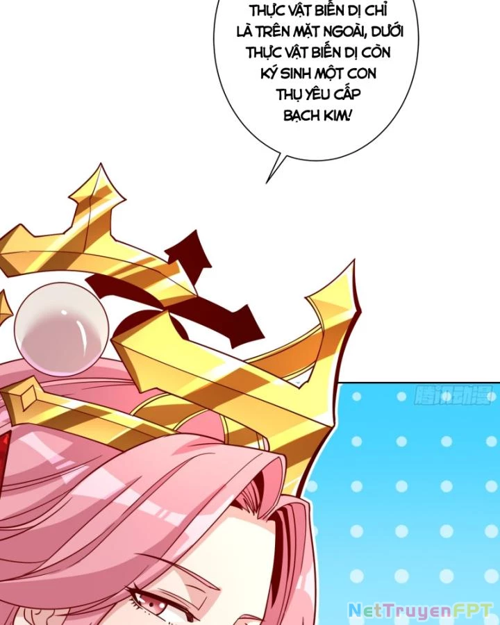 Không Theo Lối Mòn, Ta Quyết Ngược Đường Trở Thành Vô Địch Chapter 17 - Trang 43