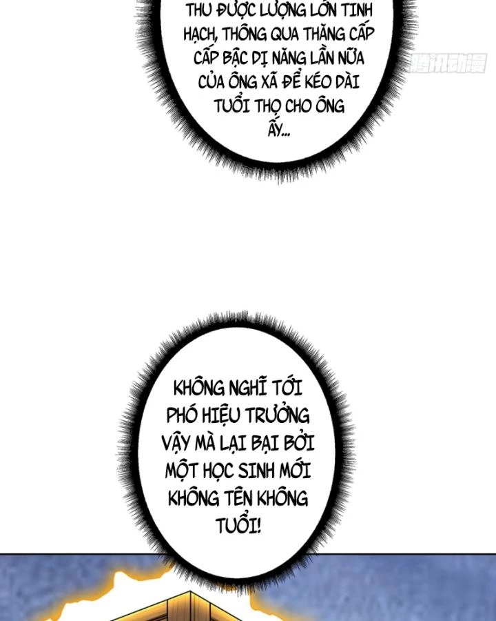 Không Theo Lối Mòn, Ta Quyết Ngược Đường Trở Thành Vô Địch Chapter 19 - Trang 19