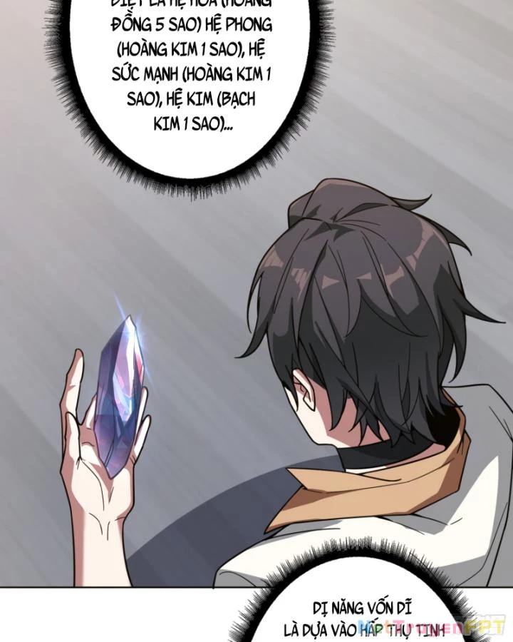 Không Theo Lối Mòn, Ta Quyết Ngược Đường Trở Thành Vô Địch Chapter 22 - Trang 41