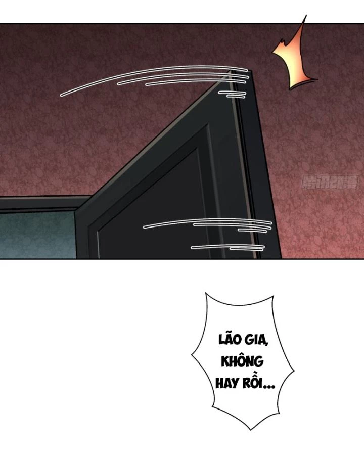 Không Theo Lối Mòn, Ta Quyết Ngược Đường Trở Thành Vô Địch Chapter 23 - Trang 17