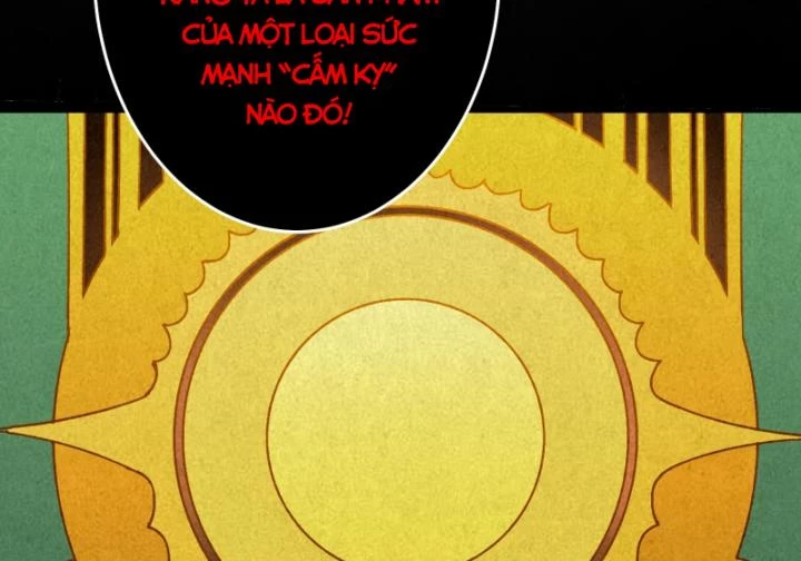 Không Theo Lối Mòn, Ta Quyết Ngược Đường Trở Thành Vô Địch Chapter 25 - Trang 7