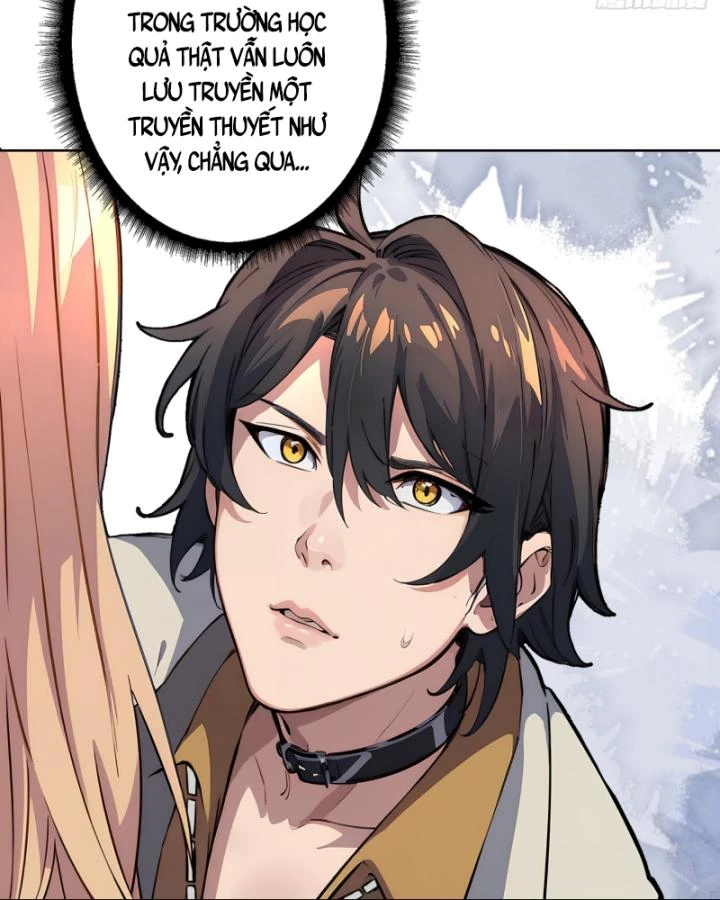 Không Theo Lối Mòn, Ta Quyết Ngược Đường Trở Thành Vô Địch Chapter 3 - Trang 13