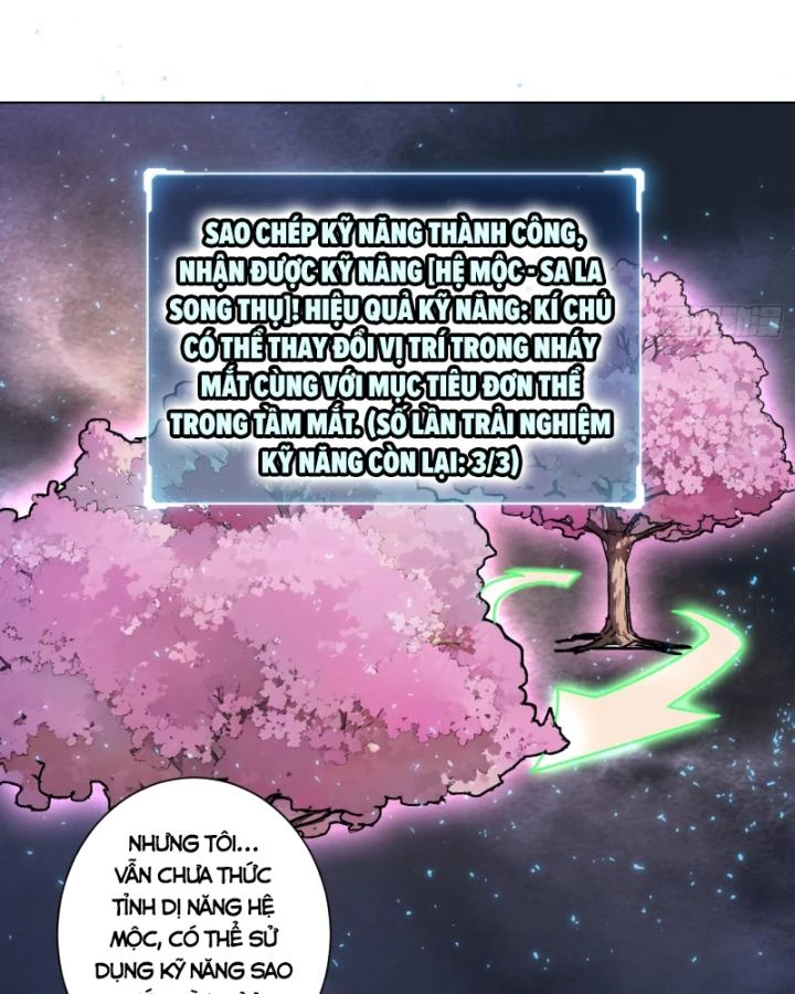Không Theo Lối Mòn, Ta Quyết Ngược Đường Trở Thành Vô Địch Chapter 4 - Trang 19