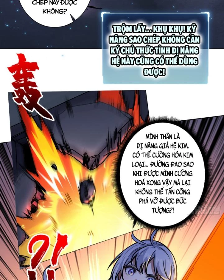 Không Theo Lối Mòn, Ta Quyết Ngược Đường Trở Thành Vô Địch Chapter 4 - Trang 20