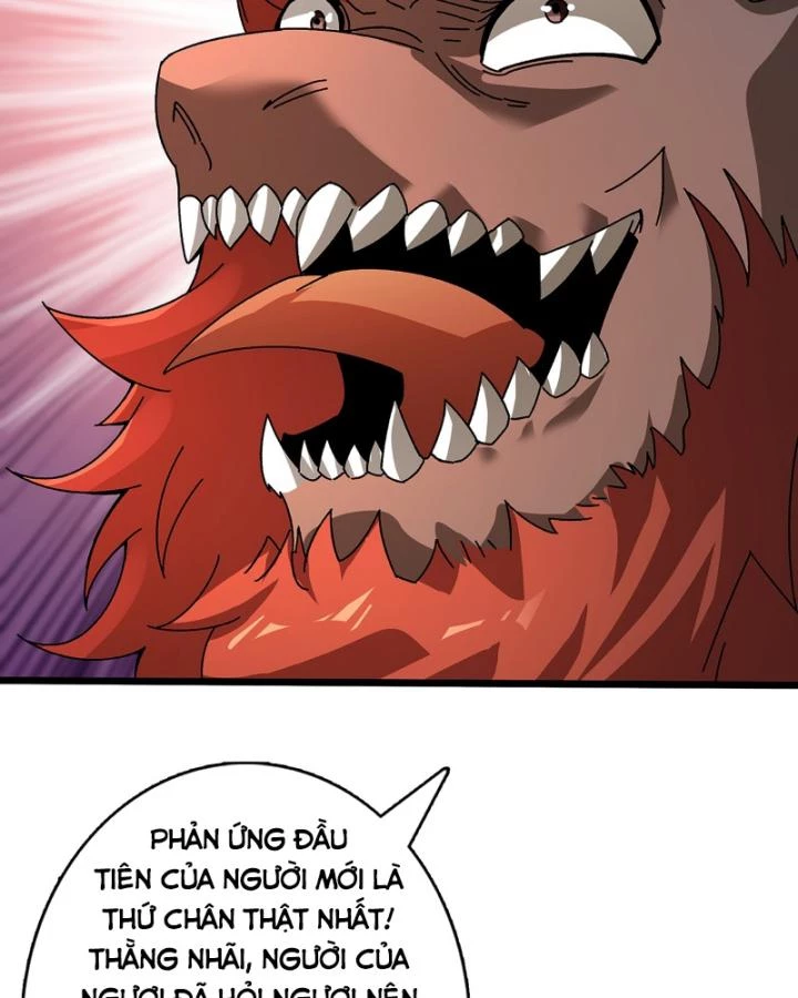 Không Theo Lối Mòn, Ta Quyết Ngược Đường Trở Thành Vô Địch Chapter 44 - Trang 23
