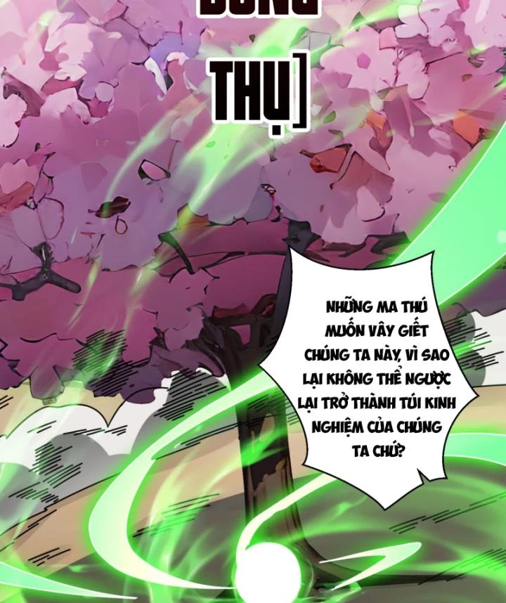 Không Theo Lối Mòn, Ta Quyết Ngược Đường Trở Thành Vô Địch Chapter 5 - Trang 13
