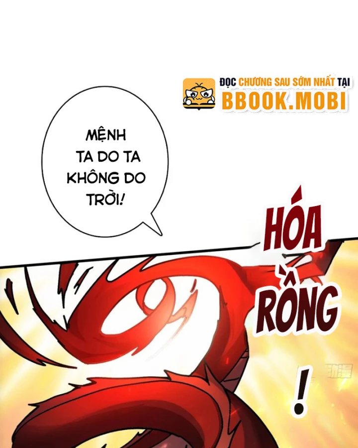 Không Theo Lối Mòn, Ta Quyết Ngược Đường Trở Thành Vô Địch Chapter 50 - Trang 20