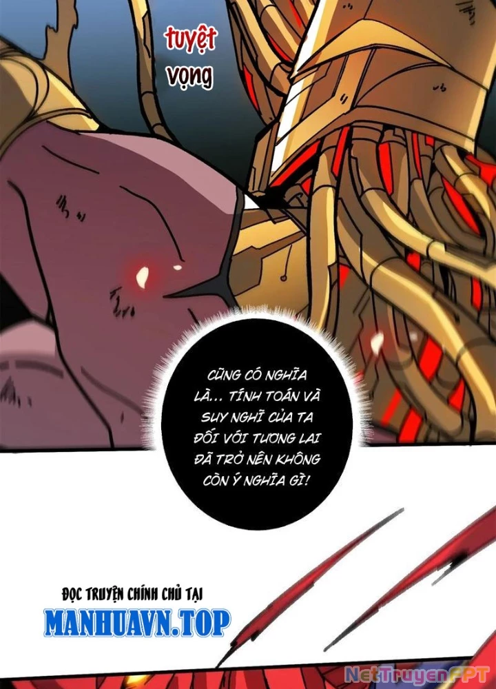 Không Theo Lối Mòn, Ta Quyết Ngược Đường Trở Thành Vô Địch Chapter 53 - Trang 6