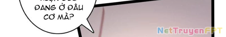 Không Theo Lối Mòn, Ta Quyết Ngược Đường Trở Thành Vô Địch Chapter 58 - Trang 5