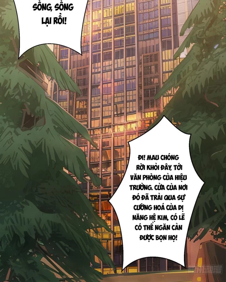 Không Theo Lối Mòn, Ta Quyết Ngược Đường Trở Thành Vô Địch Chapter 6 - Trang 4