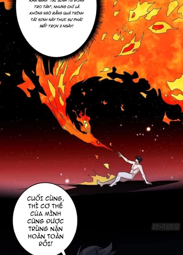 Không Theo Lối Mòn, Ta Quyết Ngược Đường Trở Thành Vô Địch Chapter 63 - Trang 26