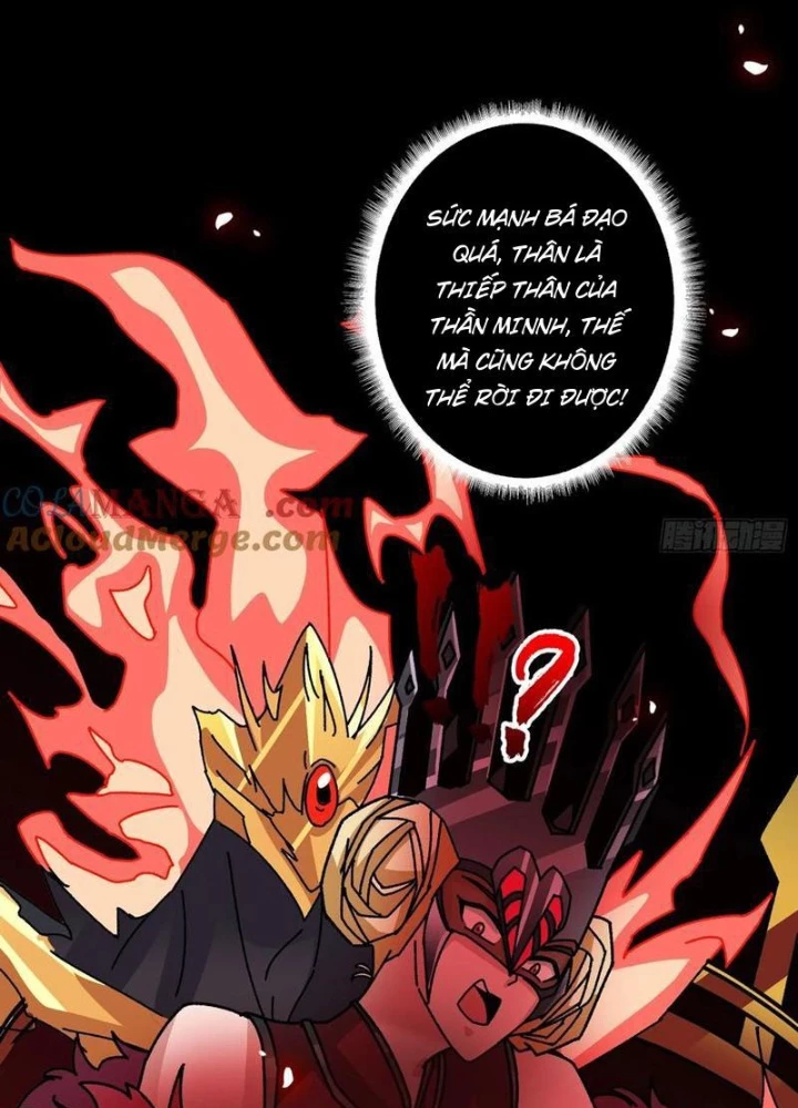 Không Theo Lối Mòn, Ta Quyết Ngược Đường Trở Thành Vô Địch Chapter 65 - Trang 8