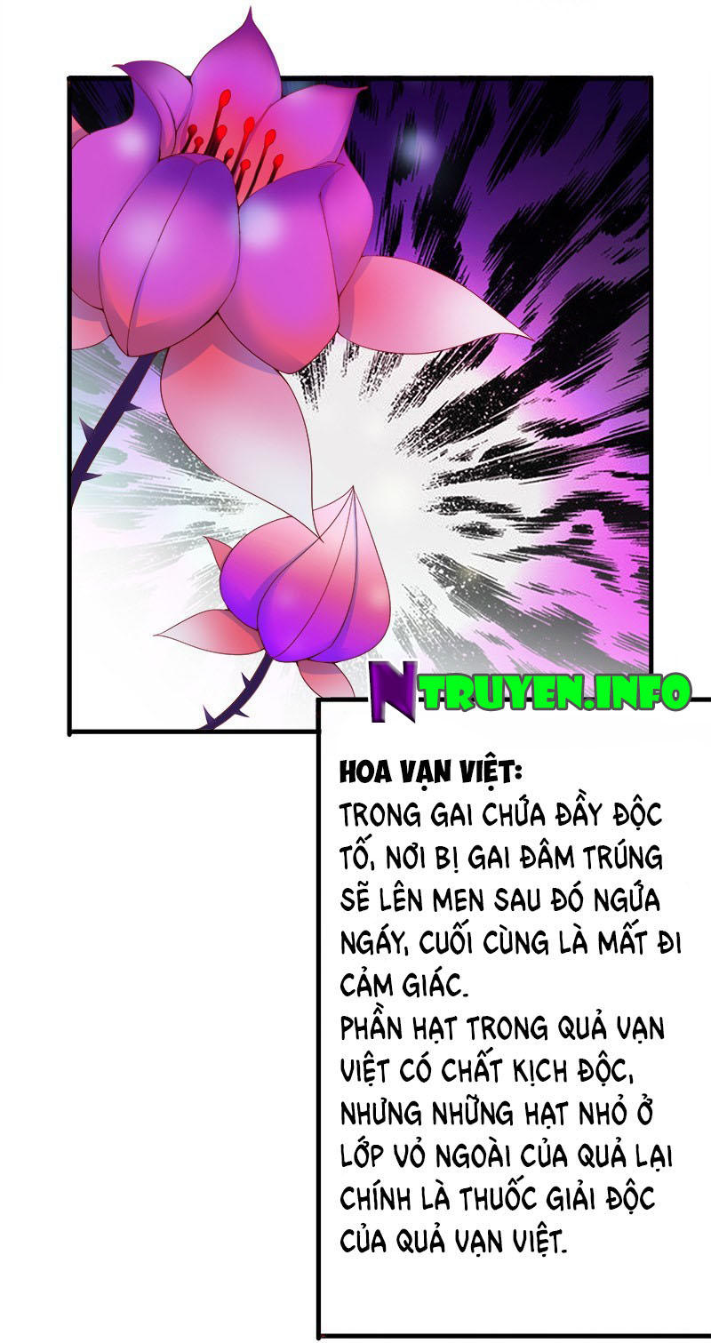 Khuynh Thế Độc Phi Chapter 13 - Trang 20