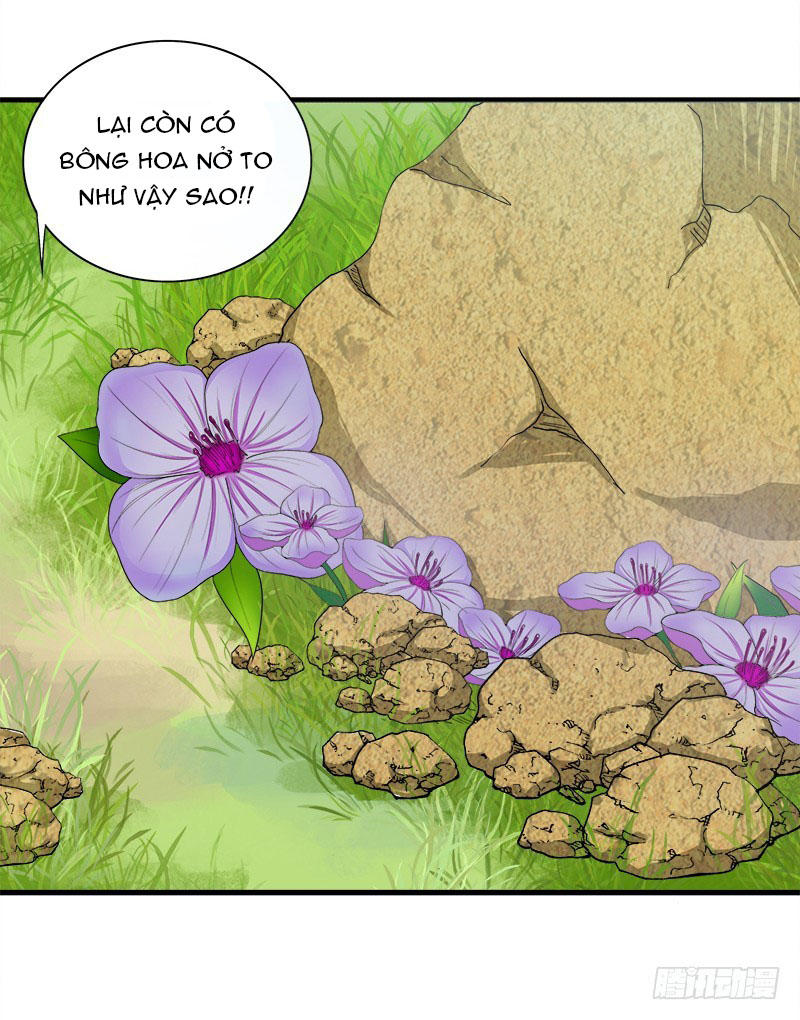 Khuynh Thế Độc Phi Chapter 13 - Trang 25