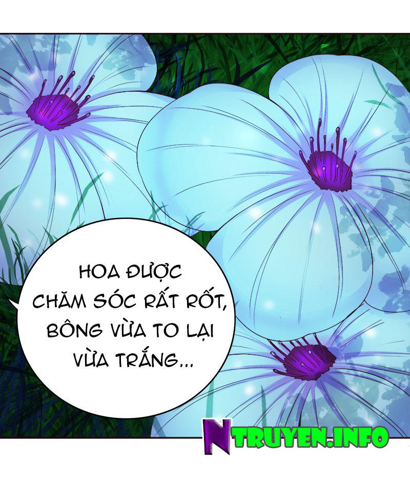 Khuynh Thế Độc Phi Chapter 15 - Trang 17