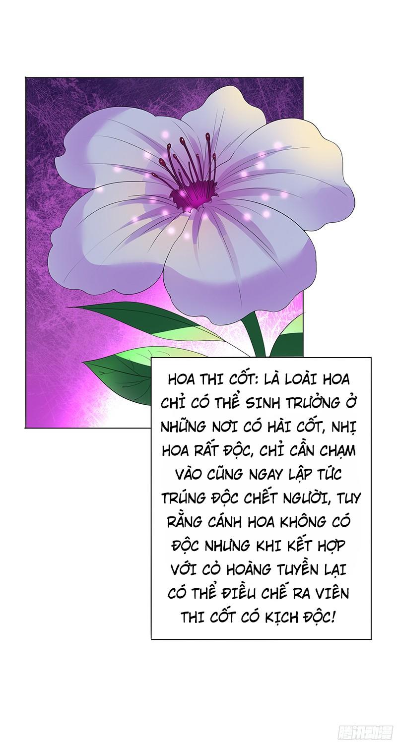 Khuynh Thế Độc Phi Chapter 2 - Trang 10