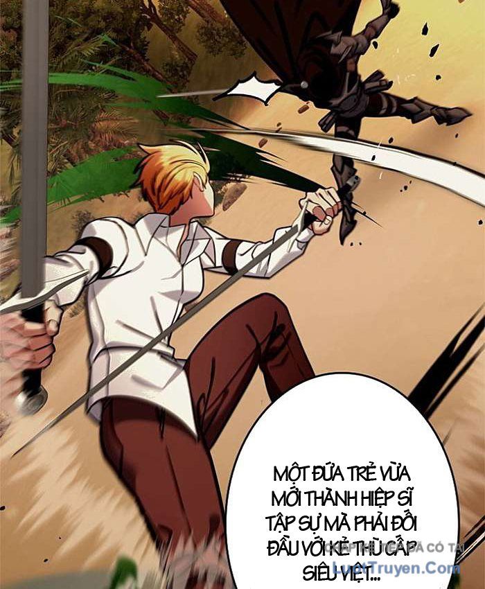 Kiếm Đế Tái Sinh Vào Gia Đình Kiếm Thuật Chapter 20 - Trang 17
