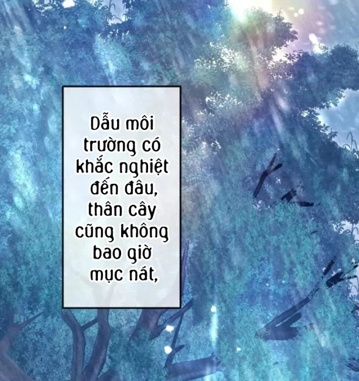 Kiếm Thánh Hồi Quy Và Học Thuyết Ma Pháp Chapter 18 - Trang 45