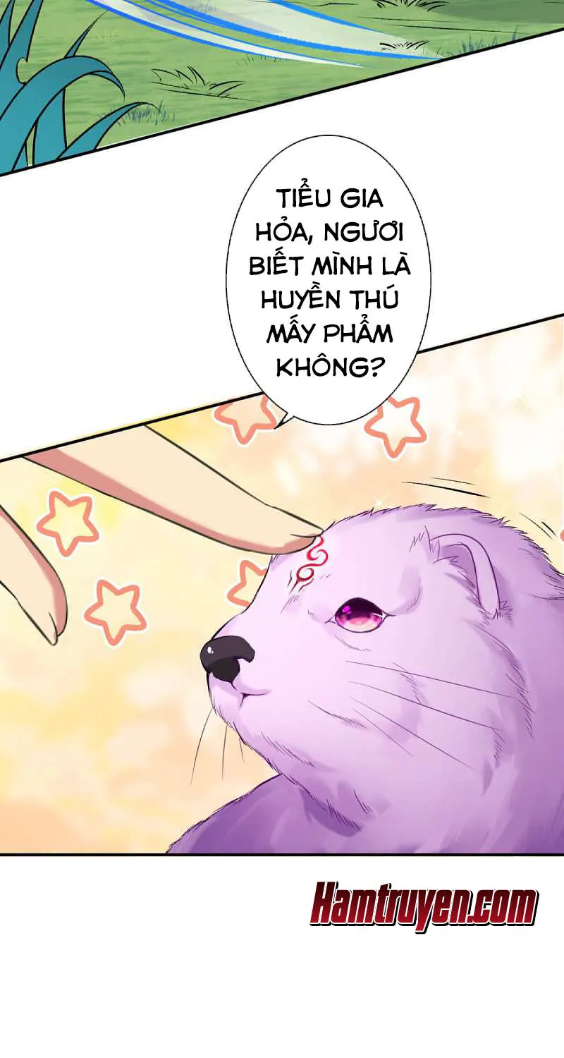 Kiếm Vực Vô Địch Chapter 31 - Trang 17