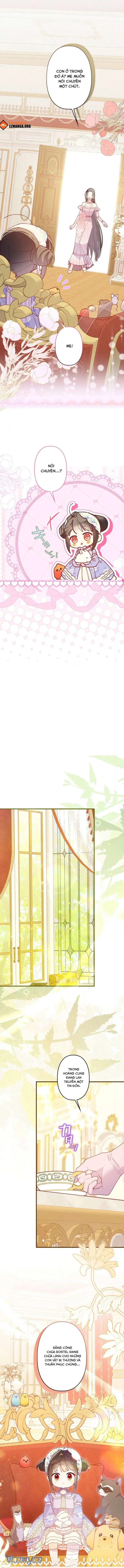 Kiếp Này Em Sẽ Không Sống Dưới Cái Bóng Của Người Chị Song Sinh Chapter 26 - Trang 9