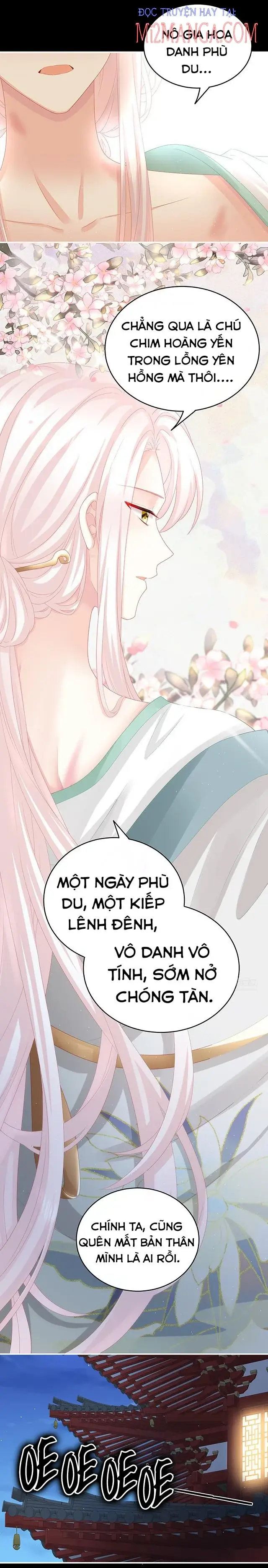 Kiều Phu Có Hỉ Chapter 42.2 - Trang 11