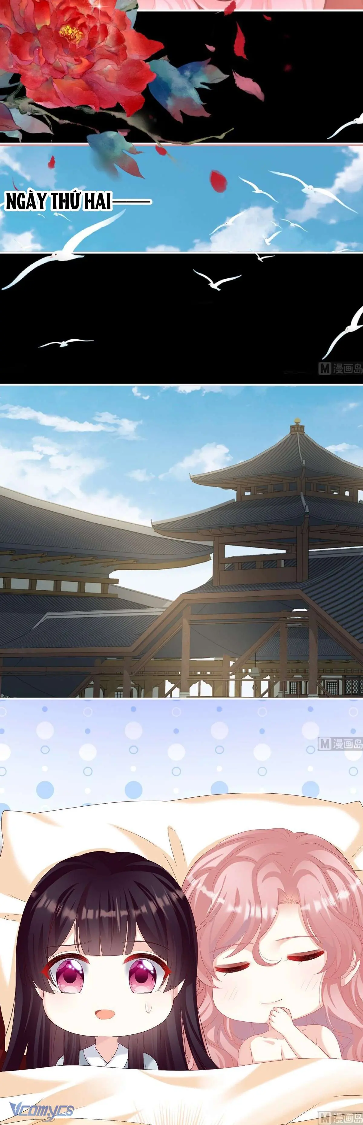 Kiều Phu Có Hỷ Chapter 78 - Trang 4