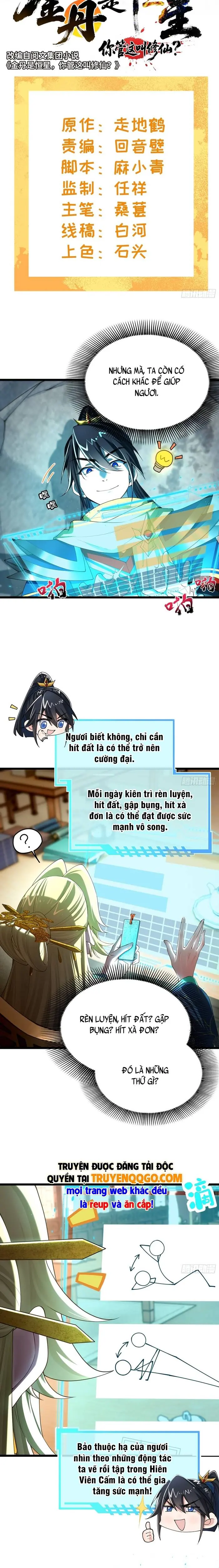 Kim Đan Là Hằng Tinh, Ngươi Gọi Đây Là Tu Tiên À? Chapter 11 - Trang 10