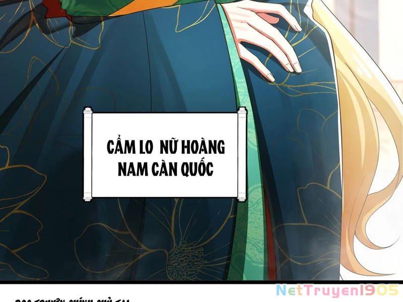 Kim Đan Là Hằng Tinh, Ngươi Gọi Đây Là Tu Tiên À? Chapter 5 - Trang 25