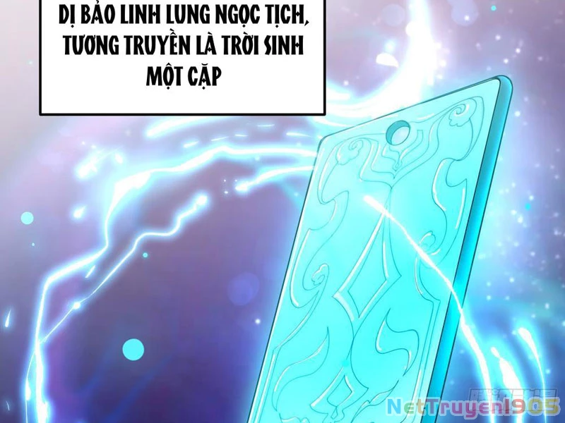 Kim Đan Là Hằng Tinh, Ngươi Gọi Đây Là Tu Tiên À? Chapter 5 - Trang 41