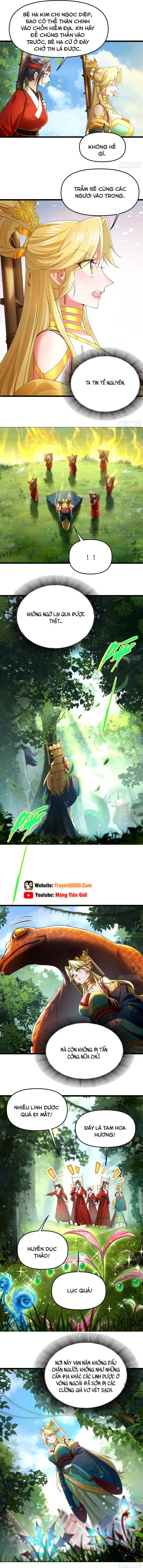 Kim Đan Là Hằng Tinh, Ngươi Gọi Đây Là Tu Tiên À? Chapter 8 - Trang 5