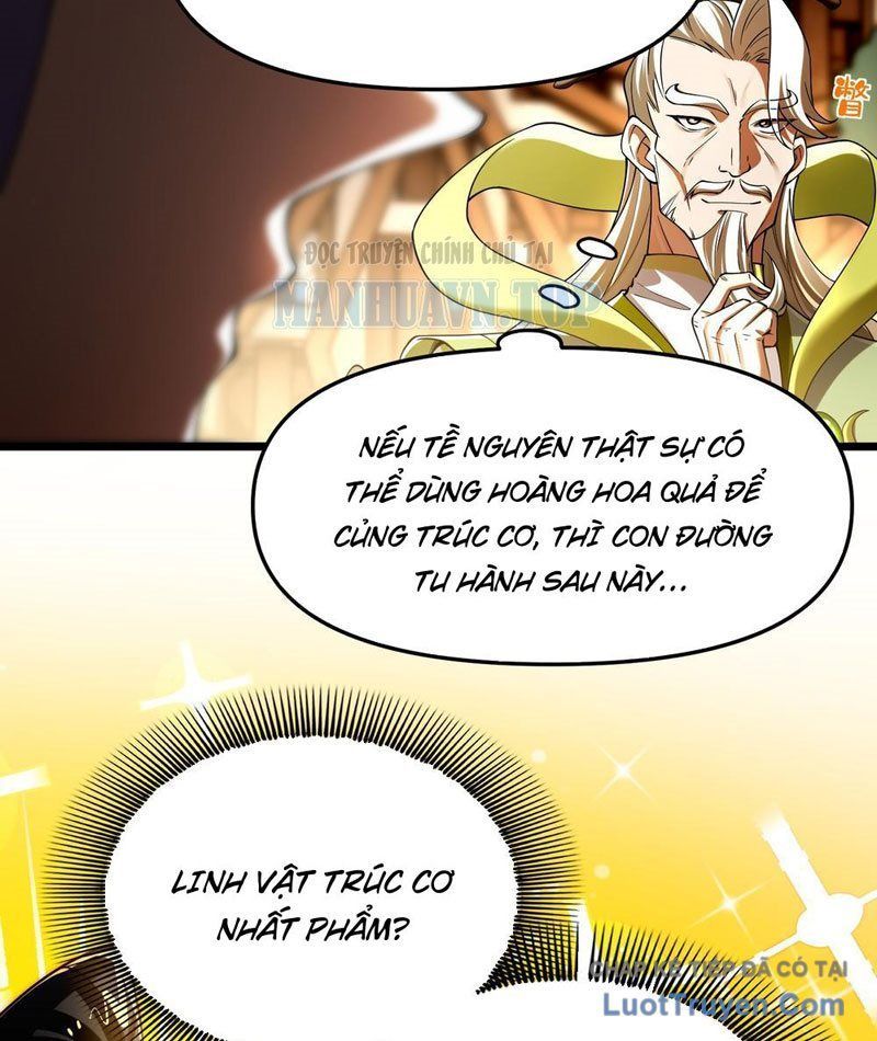 Kim Đan To Bằng Hằng Tinh! Ngươi Gọi Đây Mà Là Tu Tiên Á?! Chapter 12 - Trang 42