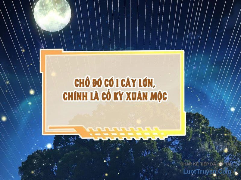 Kim Đan To Bằng Hằng Tinh! Ngươi Gọi Đây Mà Là Tu Tiên Á?! Chapter 13 - Trang 17