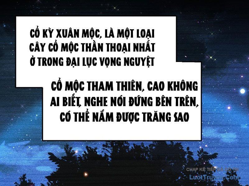 Kim Đan To Bằng Hằng Tinh! Ngươi Gọi Đây Mà Là Tu Tiên Á?! Chapter 13 - Trang 3