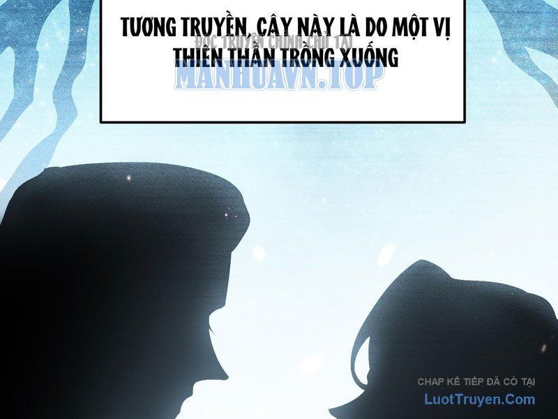 Kim Đan To Bằng Hằng Tinh! Ngươi Gọi Đây Mà Là Tu Tiên Á?! Chapter 13 - Trang 6