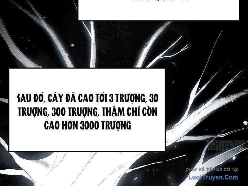 Kim Đan To Bằng Hằng Tinh! Ngươi Gọi Đây Mà Là Tu Tiên Á?! Chapter 13 - Trang 8