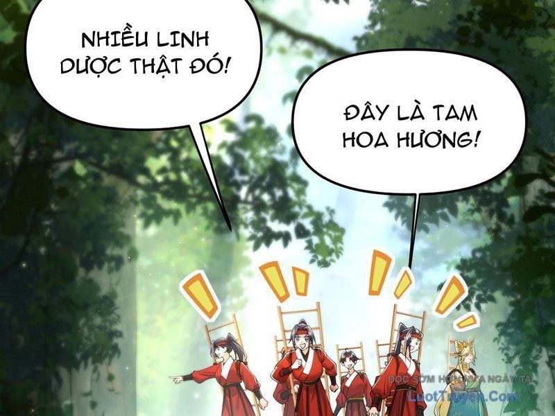 Kim Đan To Bằng Hằng Tinh! Ngươi Gọi Đây Mà Là Tu Tiên Á?! Chapter 8 - Trang 50