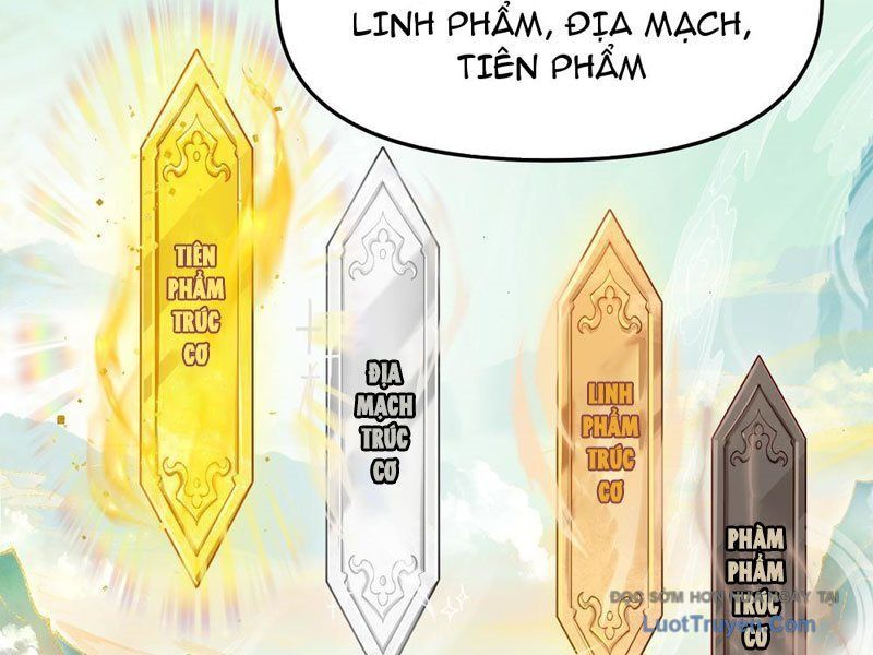 Kim Đan To Bằng Hằng Tinh! Ngươi Gọi Đây Mà Là Tu Tiên Á?! Chapter 9 - Trang 13