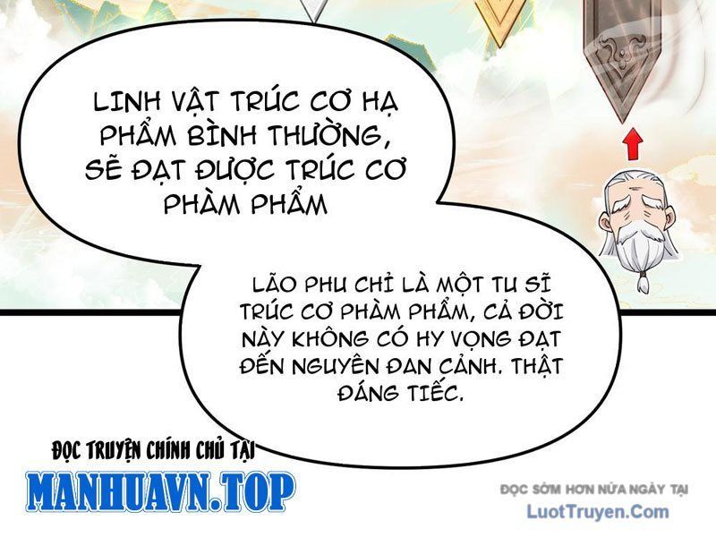 Kim Đan To Bằng Hằng Tinh! Ngươi Gọi Đây Mà Là Tu Tiên Á?! Chapter 9 - Trang 14